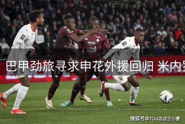 巴甲劲旅寻求申花外援回归 米内罗或年底自由加盟