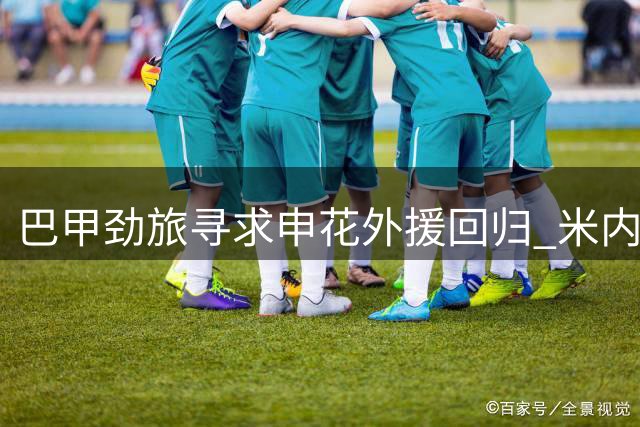 巴甲劲旅寻求申花外援回归 米内罗或年底自由加盟