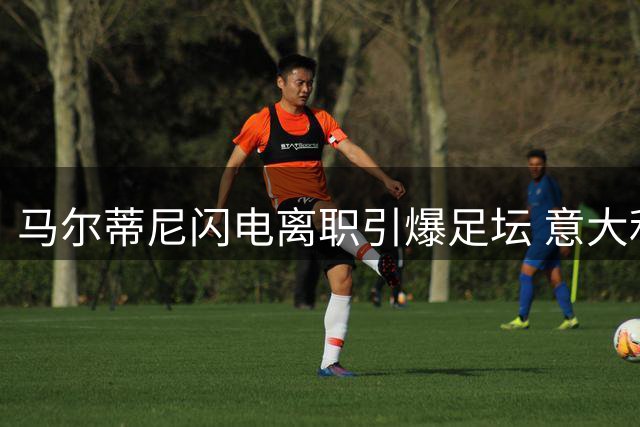 马尔蒂尼闪电离职引爆足坛 意大利足球复兴梦碎16天